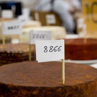 Cinco quesos canarios aspiran a convertirse en el mejor de España