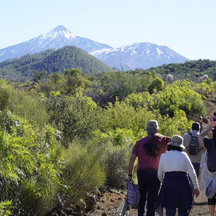 Arico y Santiago del Teide participarón en una jornada de convivencia y participación ciudadana