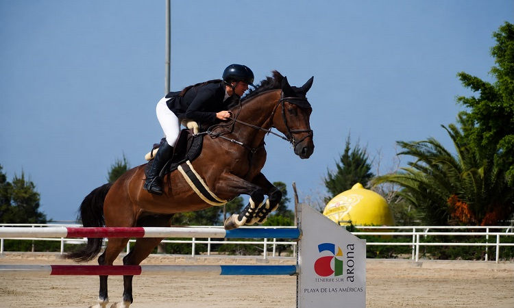 Arona será el epicentro de la hípica con el XXVII Concurso Nacional de Salto