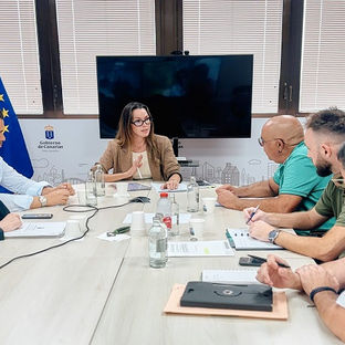 El Gobierno y el Taxi llegan a acuerdo sobre el futuro reglamento del Sector