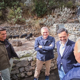 El Cabildo destina 150.000 euros a la recuperación y mejora de las razas ganaderas autóctonas