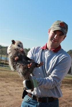 Sampling for Salmonella