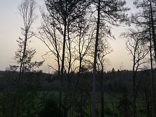08036535-64C4-4D64-A5FE-F19E4F54767C.hei