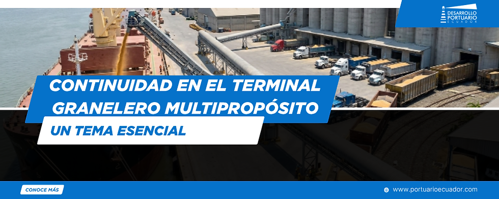 Continuidad en el Terminal Granelero Multipropósito: un tema esencial 