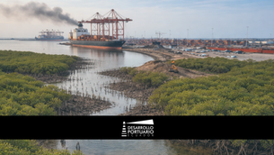 Puertos de Ecuador: Sostenibilidad más allá de la seguridad
