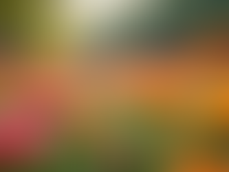 Refresh Your Space with February's Garden Posters and Affordable New Prints