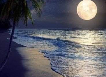 কিশোরী ও একটি কবিতা