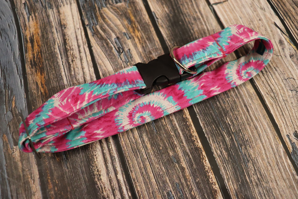 Thumbnail: That Tye Dye Life Dog Collar & Leash