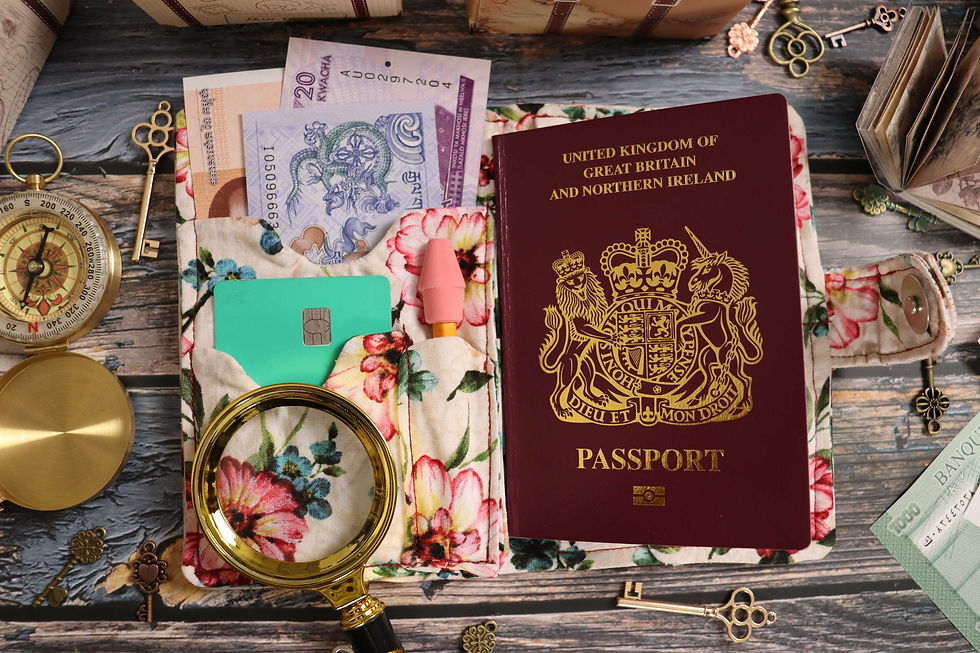 Thumbnail: The Most Beautiful One Passport Wallet