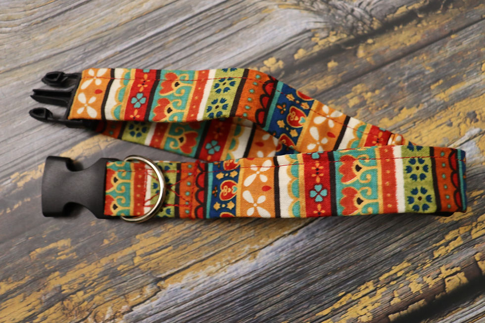 Thumbnail: Espiritu De Mexíco Collar & Leash