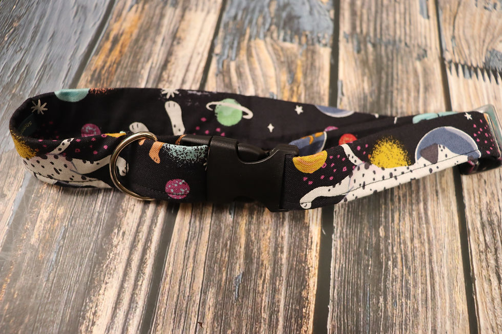 Thumbnail: Space Dogs Dog Collar & Leash