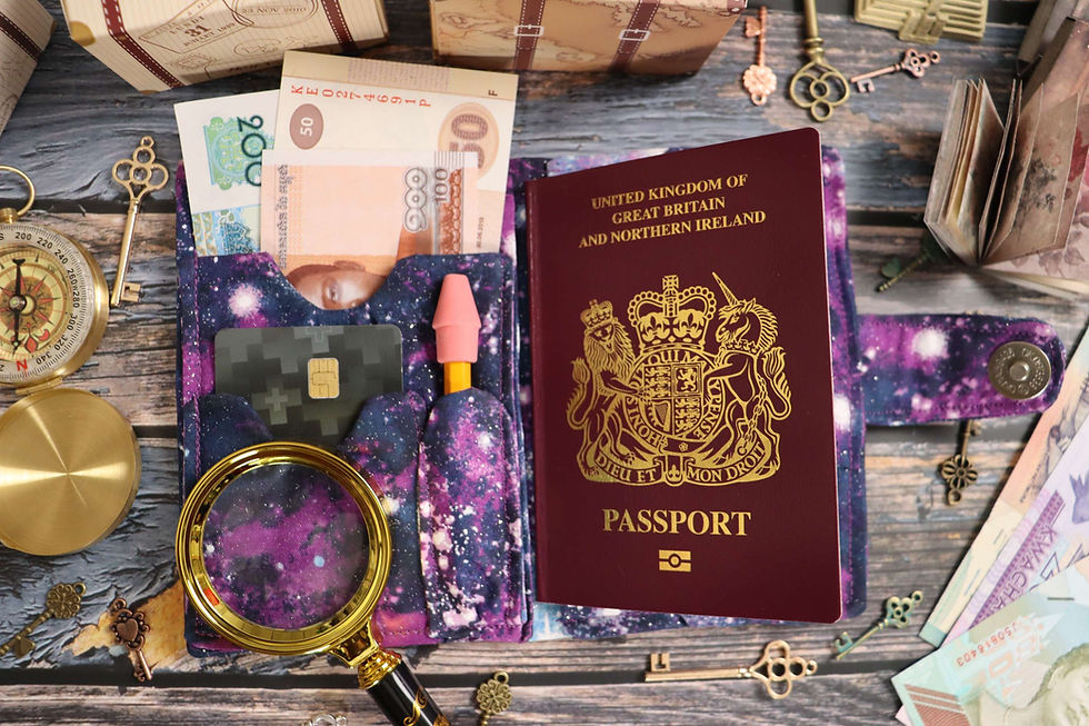Thumbnail: Glitter Stargazer Passport Wallet