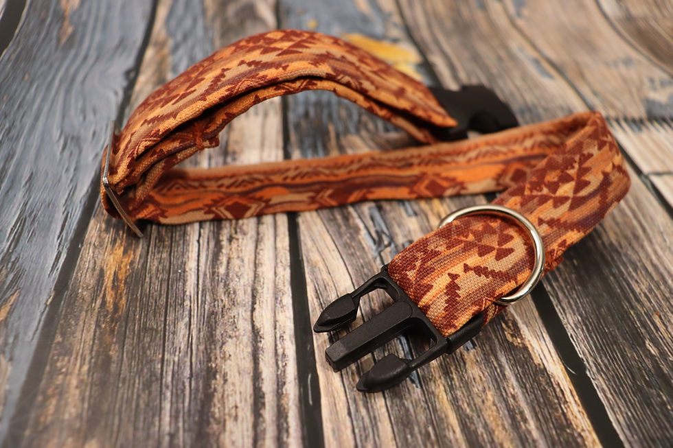 Thumbnail: Aztec Heritage: Orange Dog Collar & Leash