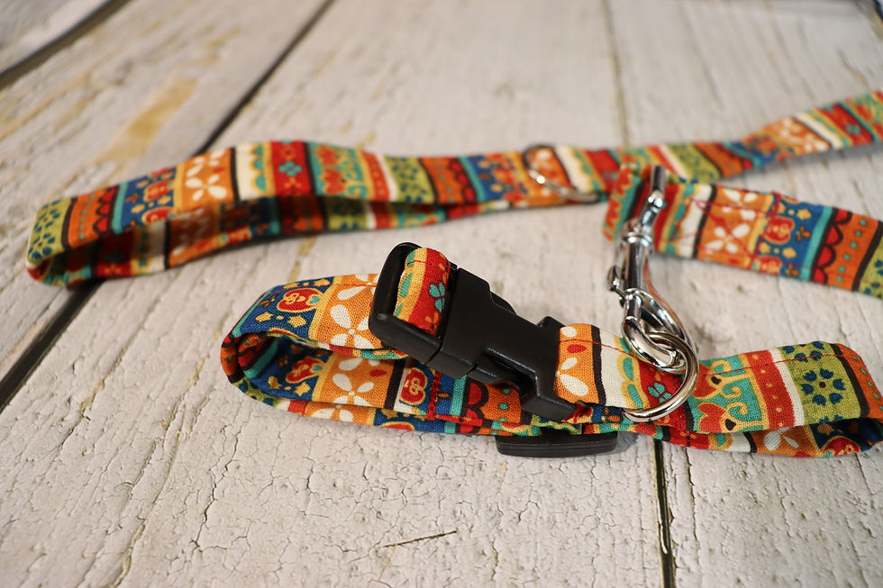 Thumbnail: Espiritu De Mexíco Collar & Leash