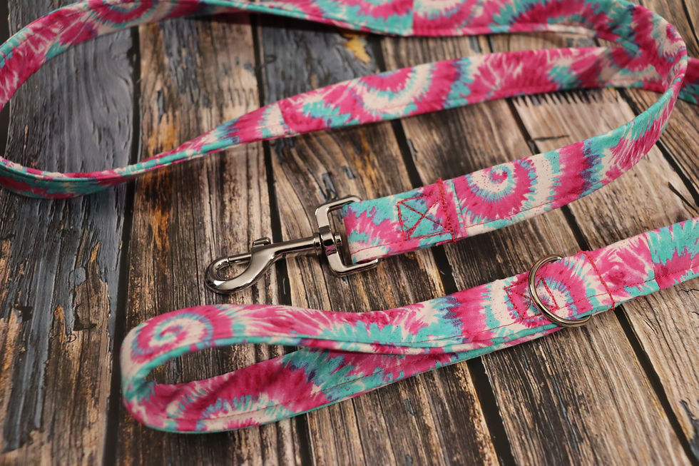 Thumbnail: That Tye Dye Life Dog Collar & Leash