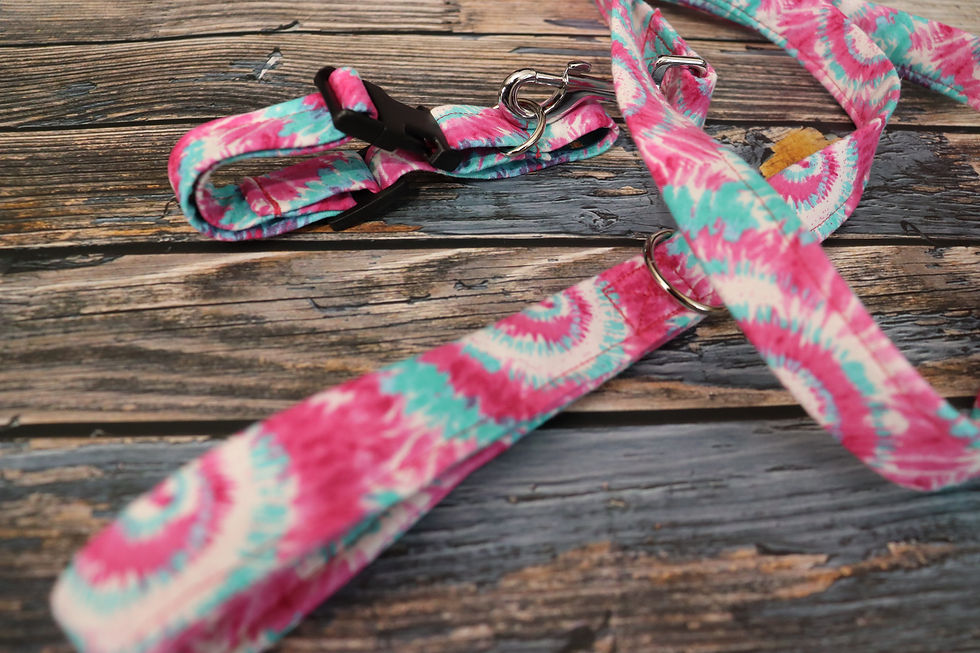 Thumbnail: That Tye Dye Life Dog Collar & Leash