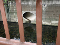 #主語の置き場所