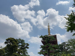 #睡魔に襲われる夜