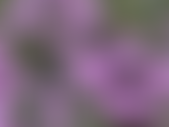 #ご近所周りと墓参り