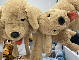 #止めて、お願い