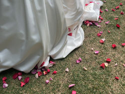 #集められて、放たれる