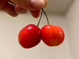 #限りなく丁寧に