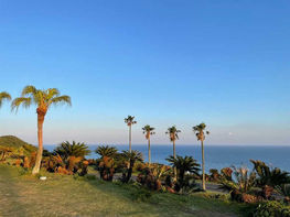 #「信じる」についてのこと