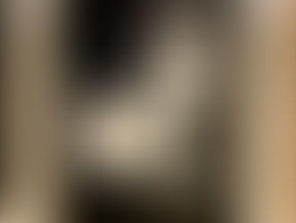 #書道展にいってきたはなし