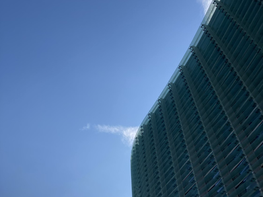 #裏切らないこと