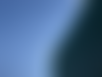 #裏切らないこと