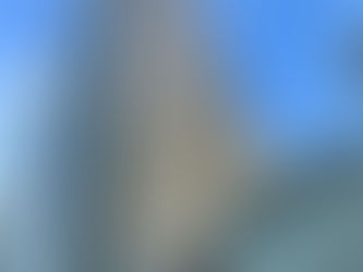 #トシキフタタビ、タビdeタビタビ