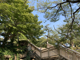 #ブログをはじめてよかったことなど