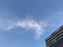 #今年の夏は特別な夏