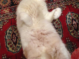 #繋がりについてのこと