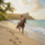 Promenades équestres ile maurice