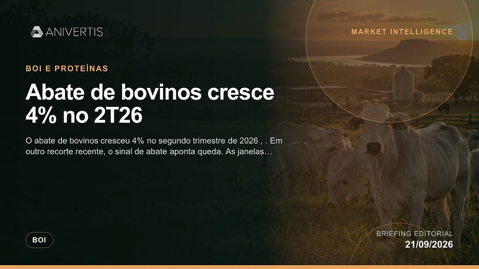Análise AniVertis sobre Abate de bovinos cresce 4% no 2T26