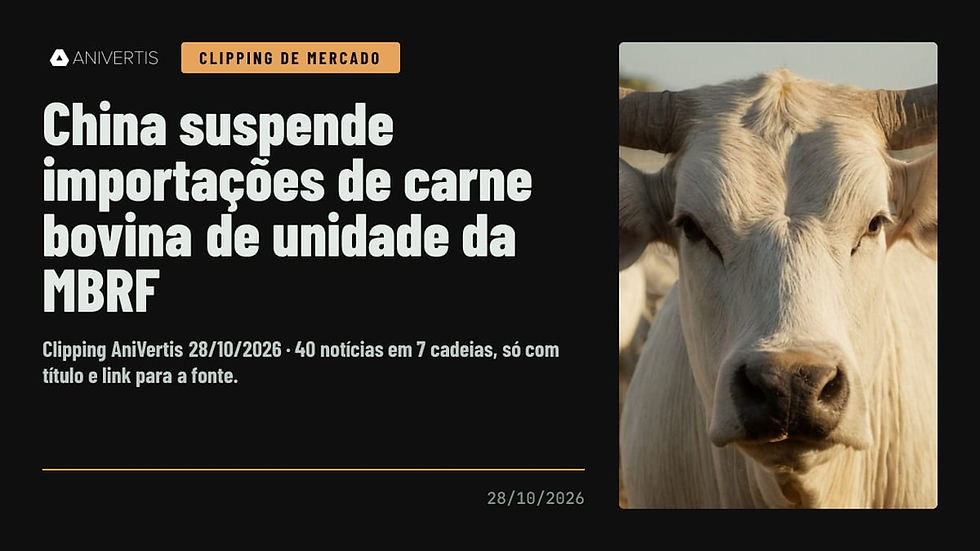 Clipping AniVertis de mercado — 28/10/2026