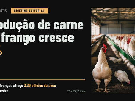 Análise AniVertis sobre Produção de carne de frango cresce 6%