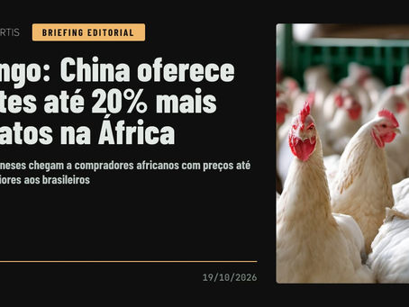 Análise AniVertis sobre Frango: China oferece cortes até 20% mais baratos na África