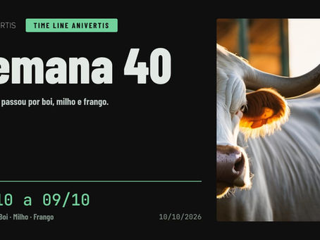 Análise AniVertis sobre TIME LINE ANIVERTIS — Semana 40 · 05/10 a 09/10