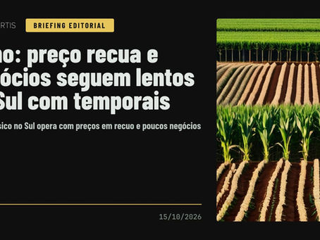 Análise AniVertis sobre Milho: preço recua e negócios seguem lentos no Sul com temporais