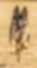thumbnail_IMG_3516.jpg