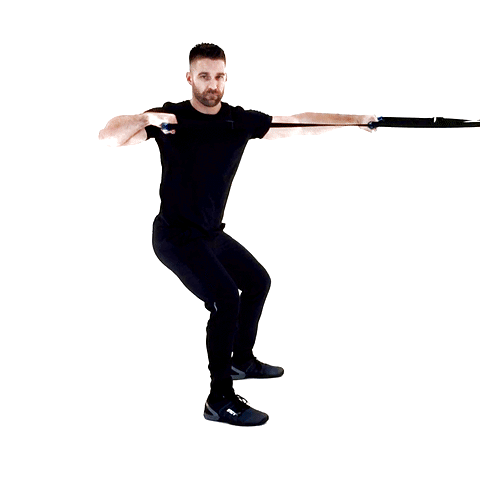 ISO-ELASTIC® Back Pulls