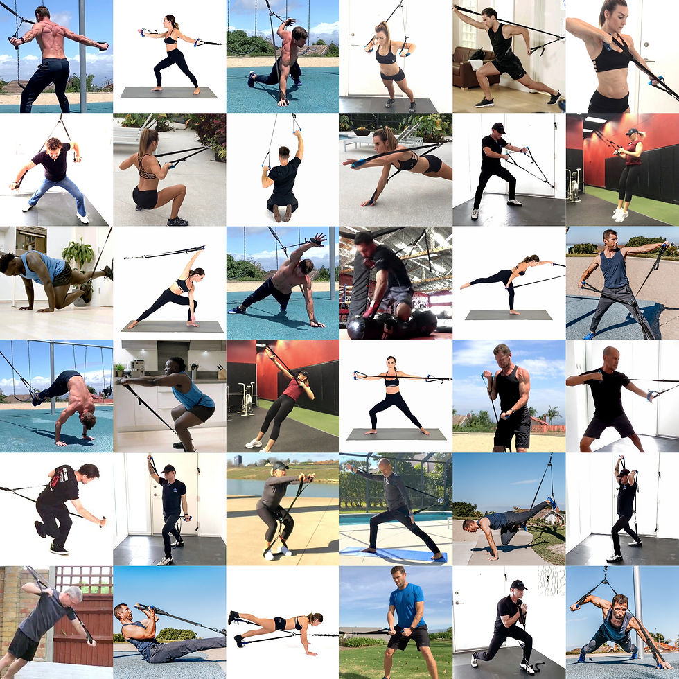 Thumbnail: T2 ISO-TRAINER | TOTAL HOME GYM