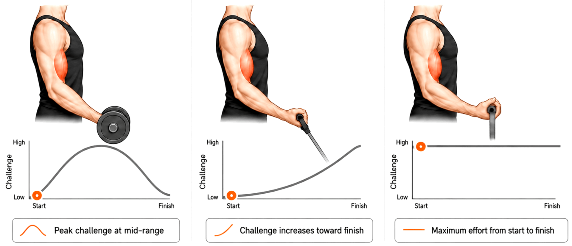 T2 Bell Curve ChatGPT.gif