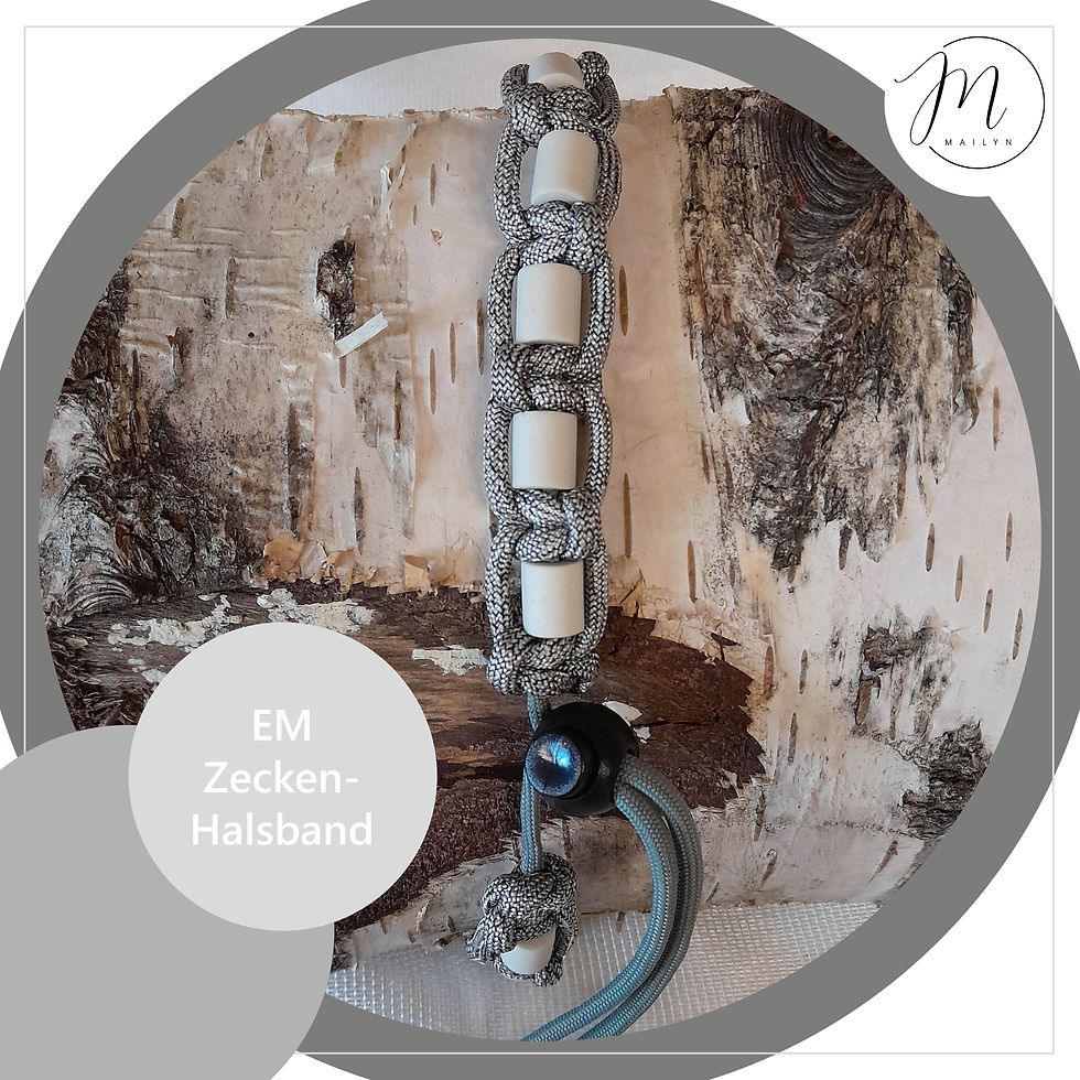 Kollektion18