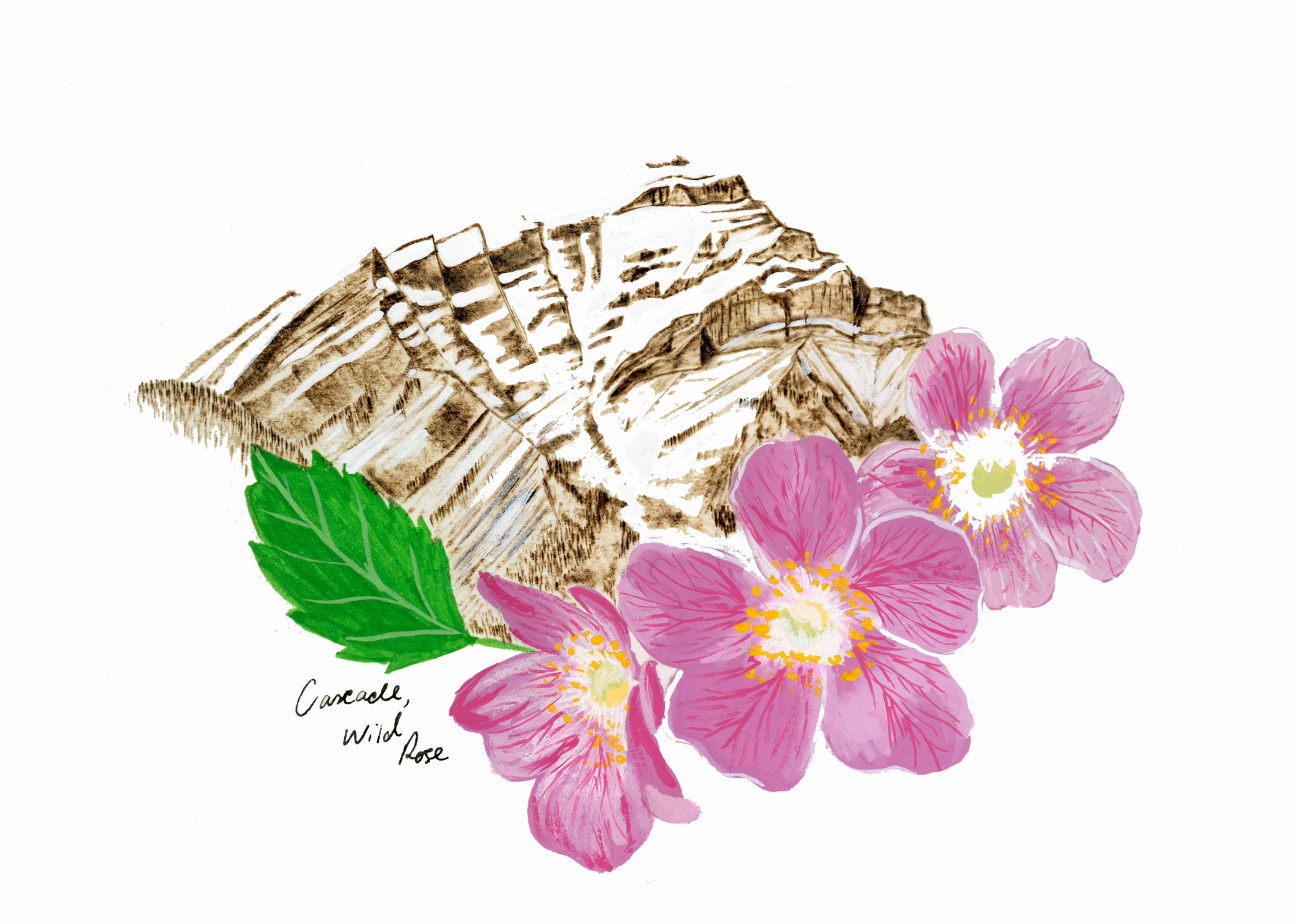 Cascade Art Card 5x7