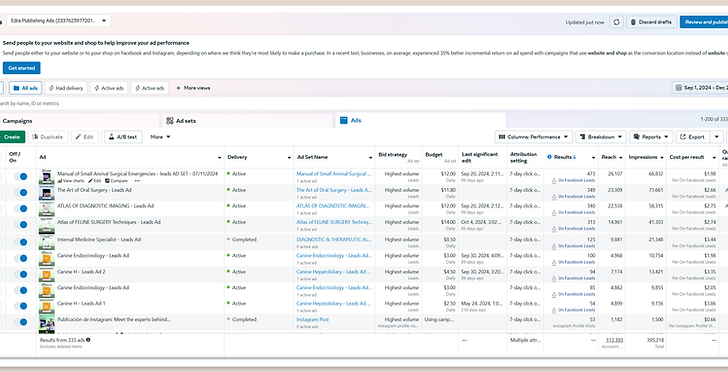 Adsresults-Instagram-Felipe