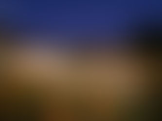 Top Qualities of Our Wedding Planners That Come In Handy For Your Wedding In A Resort