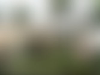 How To Expert Event Planners Manage Large Gatherings at A Wedding In Koh Samui